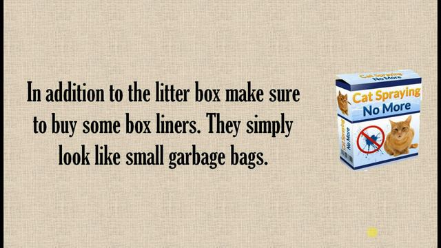 (Proven Method) How to Litter Train a Cat смотреть онлайн