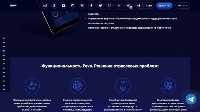 Обзор проекта PAVO COIN смотреть онлайн