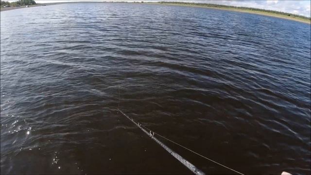 Джеркбейты на щуку Palych Custom