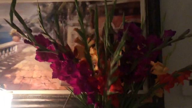 Beautiful Gladiolus. смотреть онлайн