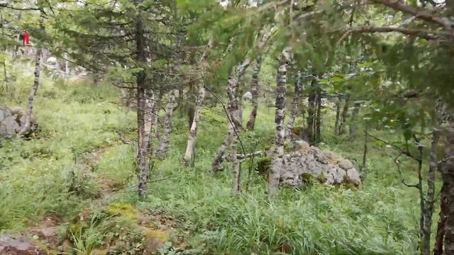 Поход на гору Качканар в 2021 году смотреть онлайн