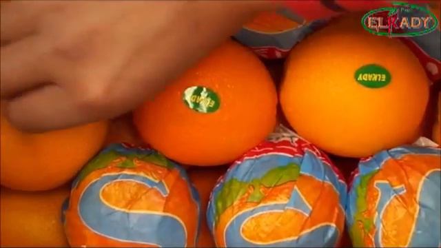 Elkady (Egypt) - Oranges Valencia - March 2013 смотреть онлайн