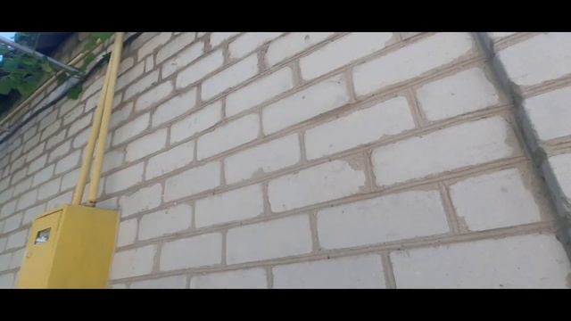 Виноградница своими руками