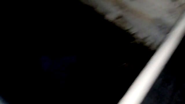 Наш зимний червятник, разведение червей, идея для бизнеса в селе. смотреть онлайн