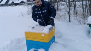 Улей Лысонь: дыра пробита, пчёлы улетели. Пасеку засыпало снегом