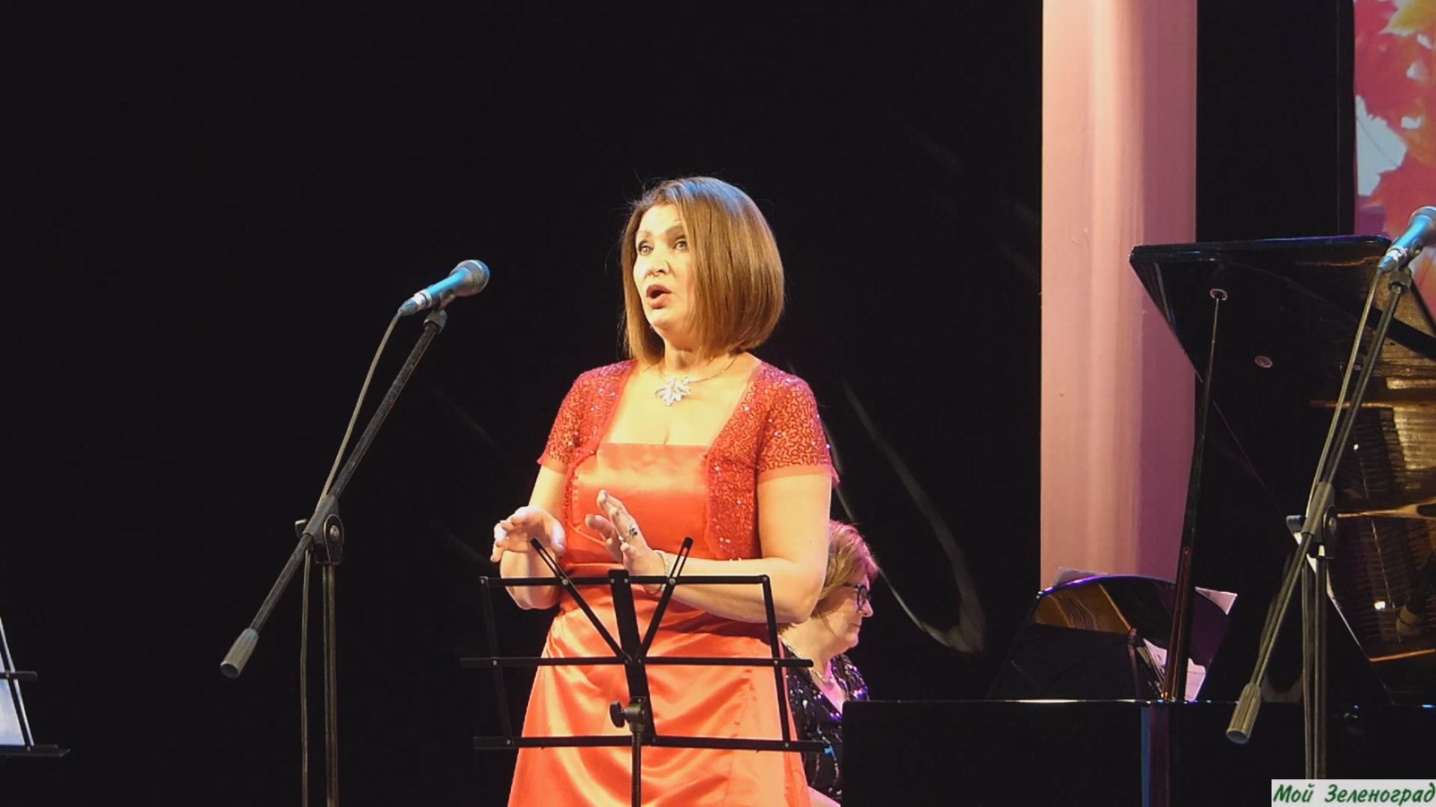 Лариса Тараканова. Куплеты Адели из оперетты И. Кальмана "Летучая мышь"