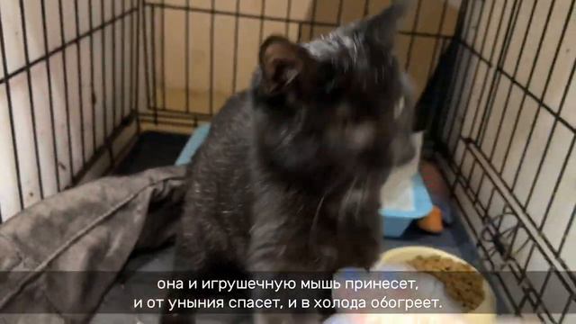 ГОЛЬЯНОЧКА смотреть онлайн