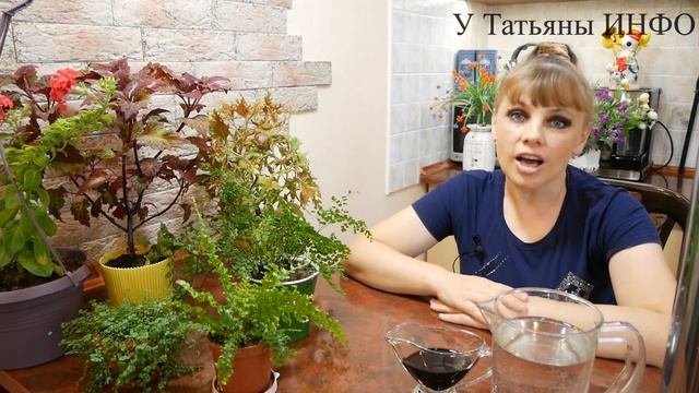 ГУМАТ - ИДЕАЛЬНОЕ УДОБРЕНИЕ ДЛЯ КОМНАТНЫХ ЦВЕТОВ ПО ДОСТУПНОЙ ЦЕНЕ!