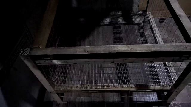 Сделал свою первую клетку для бройлера кобб 500 и брудер для цыплят. Куры как бизнес в деревне смотреть онлайн