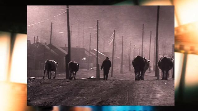 Чита - город трудовой доблести. История семьи Арины Войлошниковой смотреть онлайн
