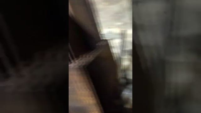 Самоходная гидравлическая буровая установка своими руками смотреть онлайн
