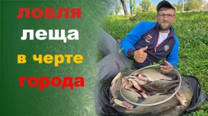 ловля леща в черте города