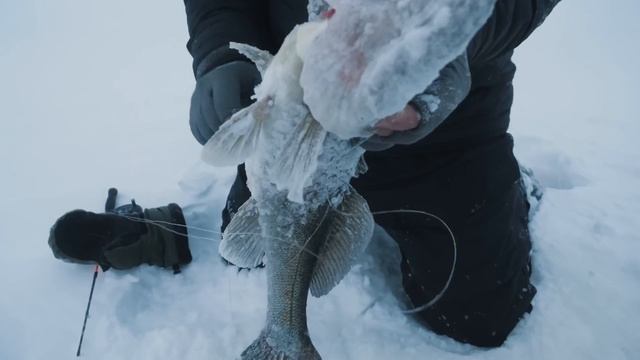 ТАКОЕ РЕДКО УВИДИШЬ | КАК ИСКАТЬ СУДАКА НА ВОДОХРАНИЛИЩЕ ЗИМОЙ? смотреть онлайн