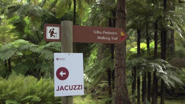 Terra Nostra Park in Furnas, #São Miguel Island, #azores смотреть онлайн