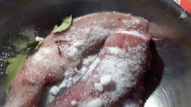 Спортивные Моменты и Экстрим-спорт