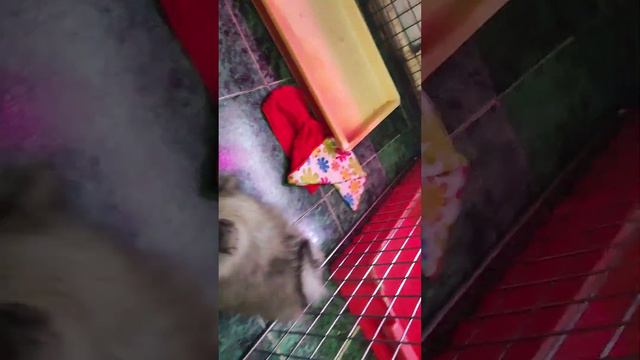 14 марта 2023 г. смотреть онлайн