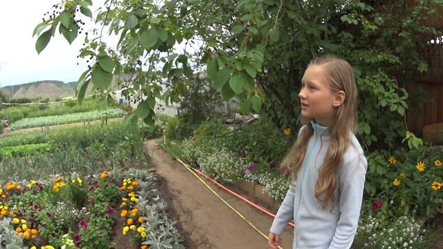 Дачный сезон №3. Начало. смотреть онлайн