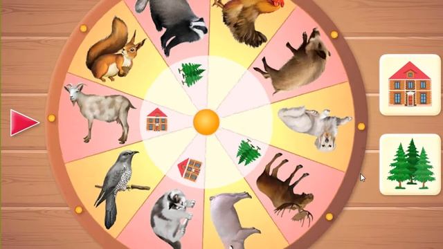 Угадай какое животное дикий или домашний смотреть онлайн