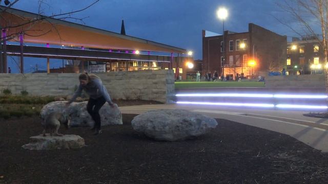 Weimaraner Puppy "Schatze" l Service Dog in Training l Best Dog Trainer Clarksville смотреть онлайн