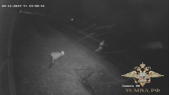 Мясные воры в Правдинске Калининградской области смотреть онлайн