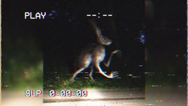 Заяц с Человеческими Руками | Заяц Гуманоид | Ужасы Тревора Хендерсона смотреть онлайн