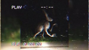 Заяц с Человеческими Руками | Заяц Гуманоид | Ужасы Тревора Хендерсона