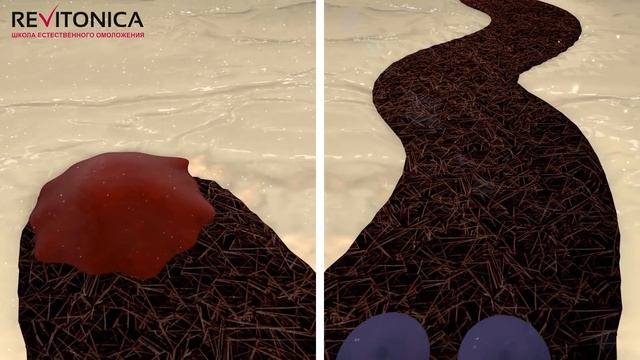 СОХРАНИТЬ ОБЪЁМ: 3 шага к ОМОЛОЖЕНИЮ костной системы лица смотреть онлайн