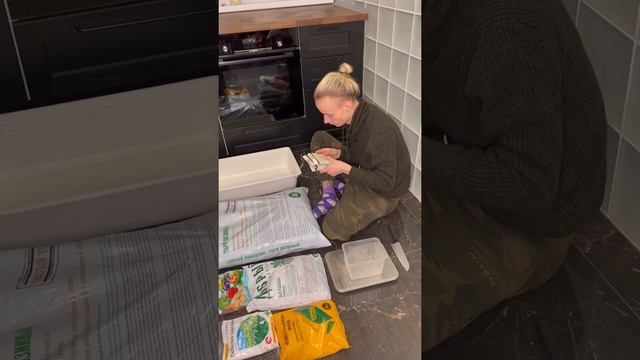 ГРИБЫ из СЕМЯН! Посадил грибницу из ОБИ. Как вырастить грибы дома? Часть 1 смотреть онлайн