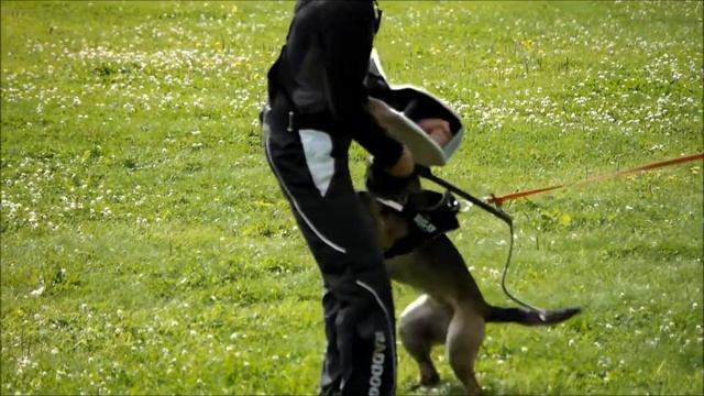 Ruutipussi day 12.8.2017 смотреть онлайн