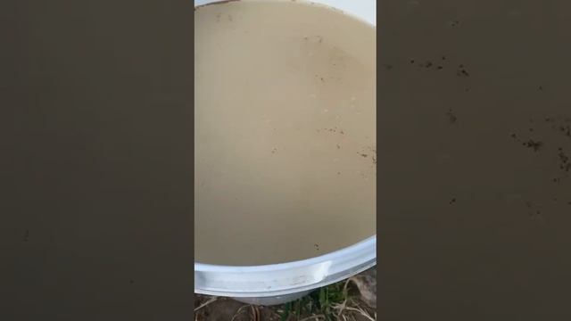 Как продлить плодоношение земляники до конца лета смотреть онлайн