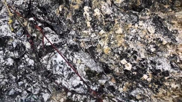Climbing Fedele sasso Pardoi смотреть онлайн