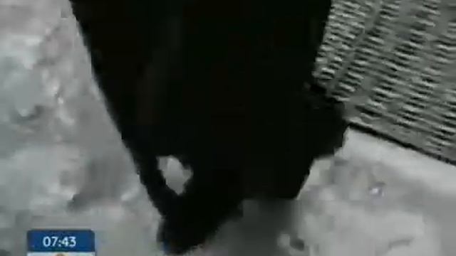 Стинг - один из лучших композиторов современности - Утро с Интером смотреть онлайн