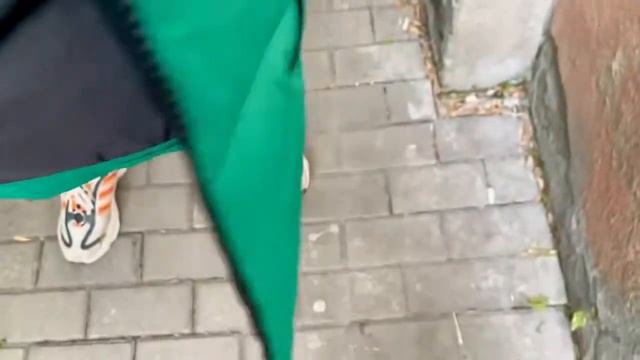 Жилетка the north face смотреть онлайн