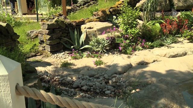 Alan Titchmarsh at RHS Chelsea Flower Show 2014 - Waitrose смотреть онлайн