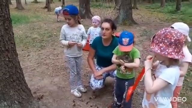 изучаем живую природу смотреть онлайн