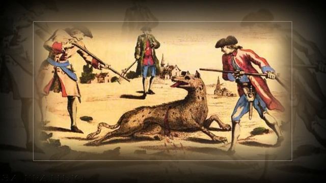 Самые страшные хищники в мире зверей смотреть онлайн