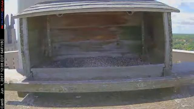 Camera 5 - 06/01/17 смотреть онлайн