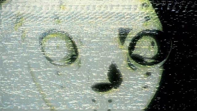 SALUKI / EDIT / смотреть онлайн