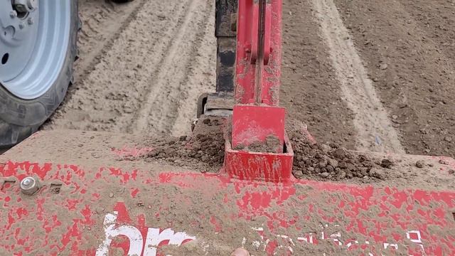 Фрезование всходов томата прямого посева, основные нюансы 10.05.2020 смотреть онлайн