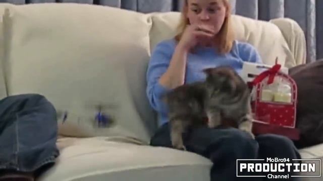 Hilarious Cat Fails - Try Not to Laugh Challenge смотреть онлайн