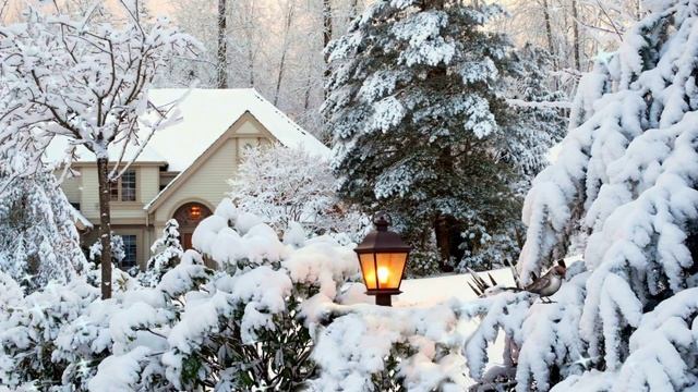 Кабы не было зимы Фон для видеомонтажа HD Video Background смотреть онлайн