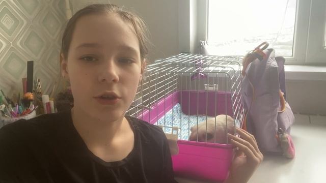 БЛОХИ! У зверя и в квартире!!! смотреть онлайн