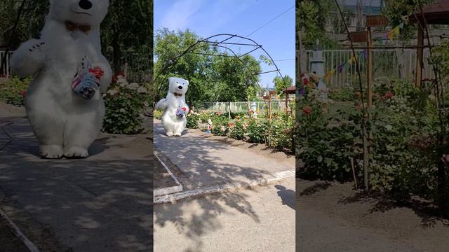 Провожаем в 1 класс не с пустыми руками. Поздравление от белого медведя смотреть онлайн