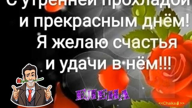 Ленка Позитивчик смотреть онлайн