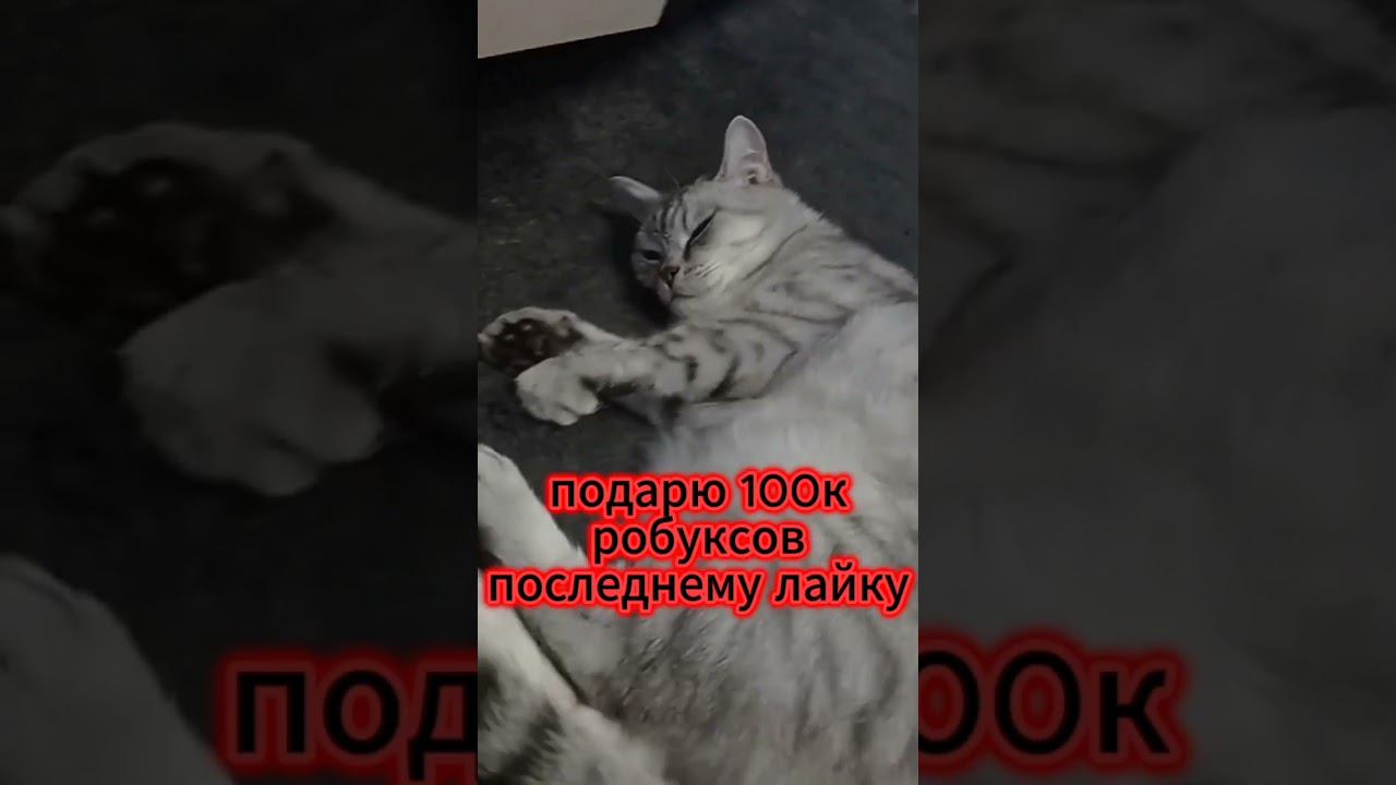 17 апреля 2024 г. смотреть онлайн