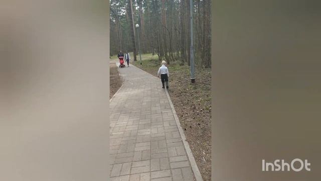 Тверицкий бор/Ярославль/Прогулка/Лошади смотреть онлайн