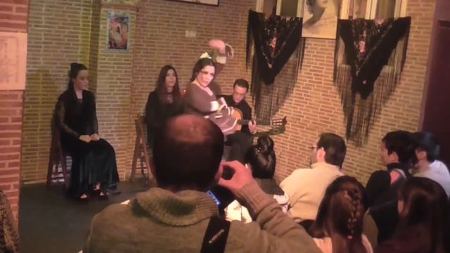FLAMENCO TARANTOS FÁTIMA FERNÁNDEZ смотреть онлайн