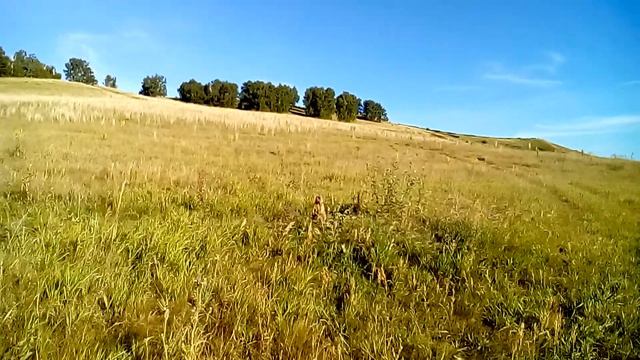 Азнакаево Чатыр тау байбаки тревога смотреть онлайн