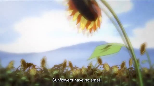 Samurai champloo - sunflowers have no smell смотреть онлайн