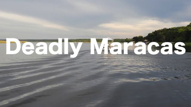 DJ KT- Deadly Maracas смотреть онлайн